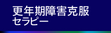 神経症克服プログラムメニュー