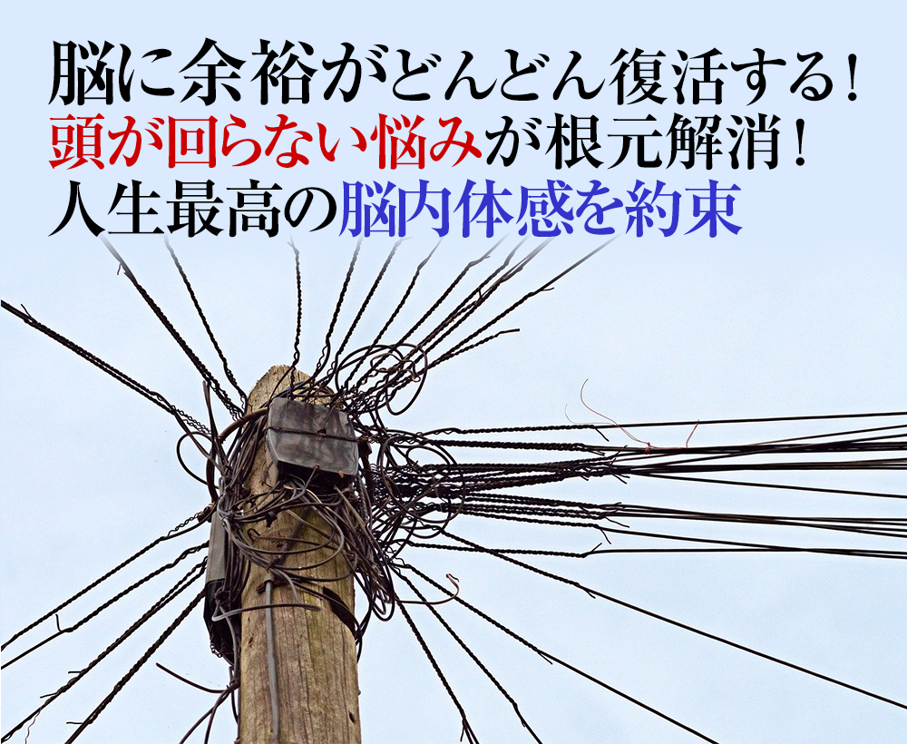 仕事やストレスで頭が回らない、仕事ができない、能力が鈍っている人でも脳が人生最強に覚醒する
