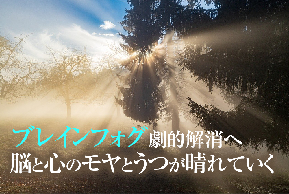 ブレインフォグ、頭や脳のもやもや、そしてうつ状態が晴れていく!