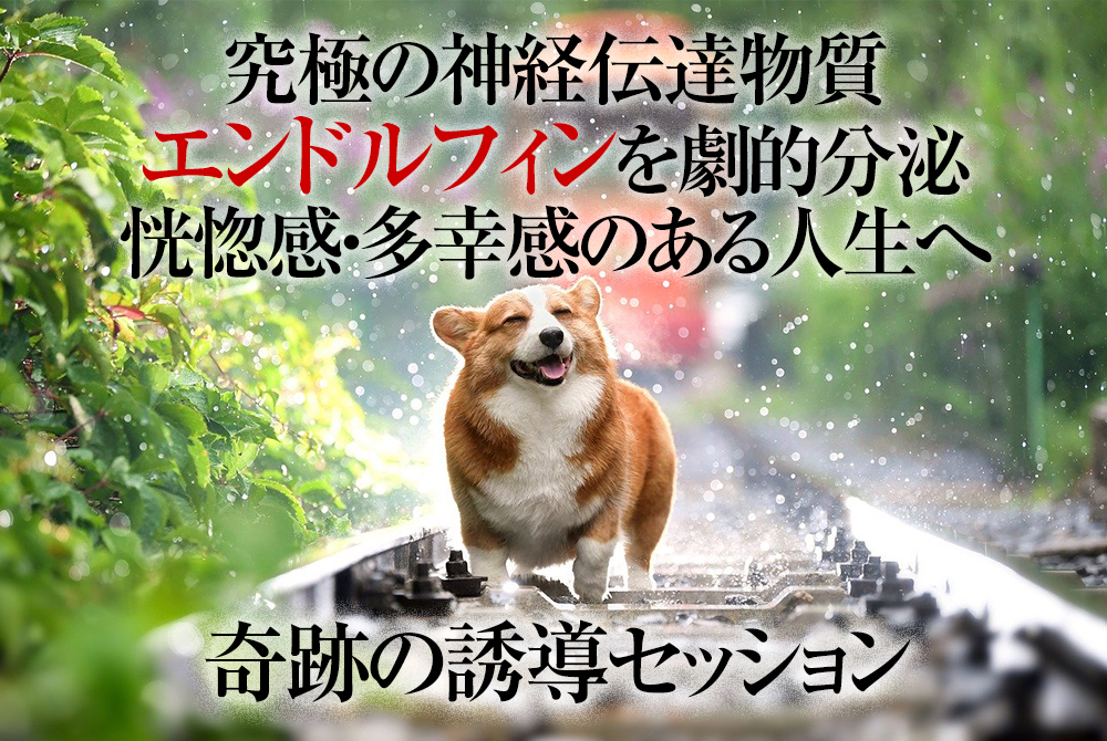 エンドルフィン脳内麻薬劇的分泌。シナプス結合とニューロンが増える、究極の快感体験へ