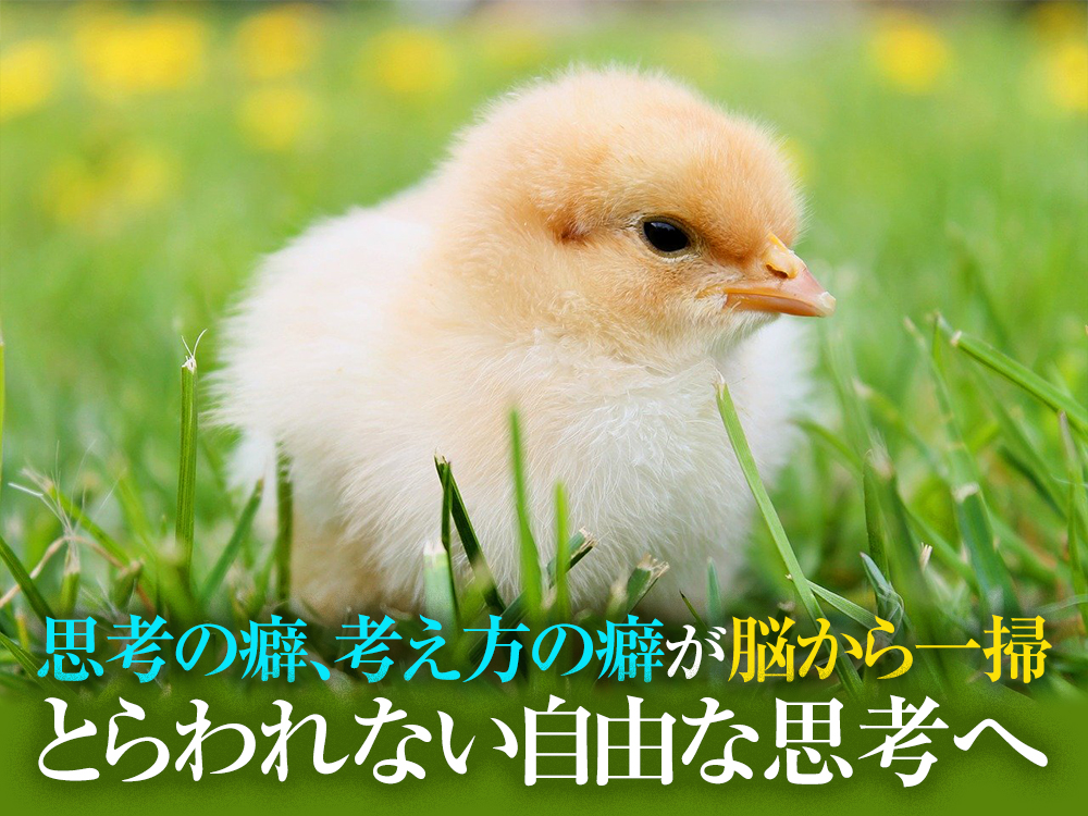思考の癖、考え方の癖、認知の歪みが脳から一層、とらわれない自由で解放された脳へ