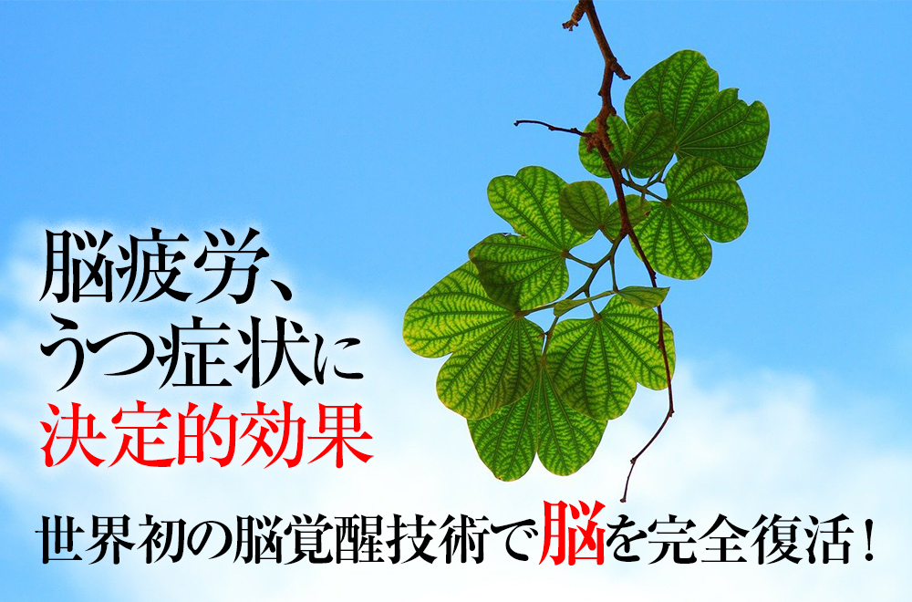 脳疲労、前頭葉萎縮や海馬萎縮からの劇的回復